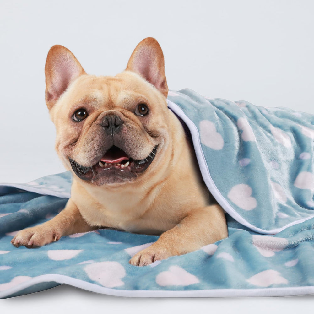 Luciphia petite couverture pour animaux, pratique en voyage ou cage.