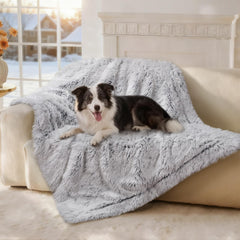 Couverture imperméable Luciphia pour chien protégeant fauteuils et lit contre les taches.
