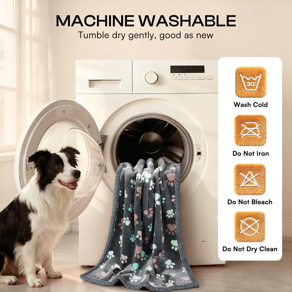 Luciphia lavage en machine simple entretien rapide et pratique