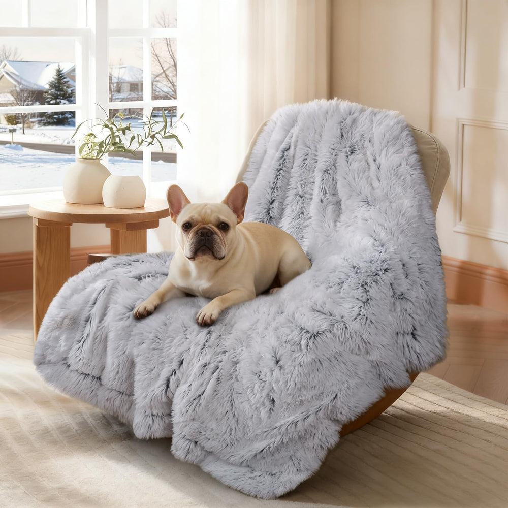 Luciphia: protection meubles et vehicules, ideal pour chiots.