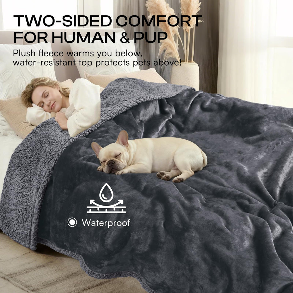 Luciphia: protection meuble adaptable pour canapé et lit, usage quotidien.