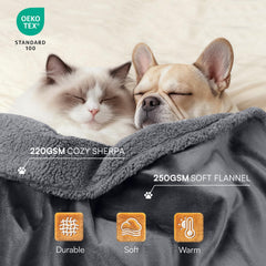 Luciphia resistante-rayures-grattages: ideale pour foyers multi-animaux.
