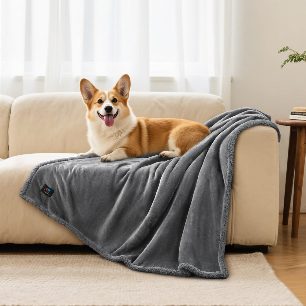 Tailles disponibles de Luciphia pour petits chiens et chats, petit format 40x28.