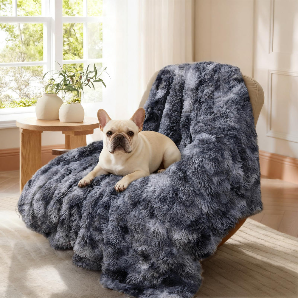 Compagnon maison et voyage Luciphia, parfait pour les trajets avec votre animal.