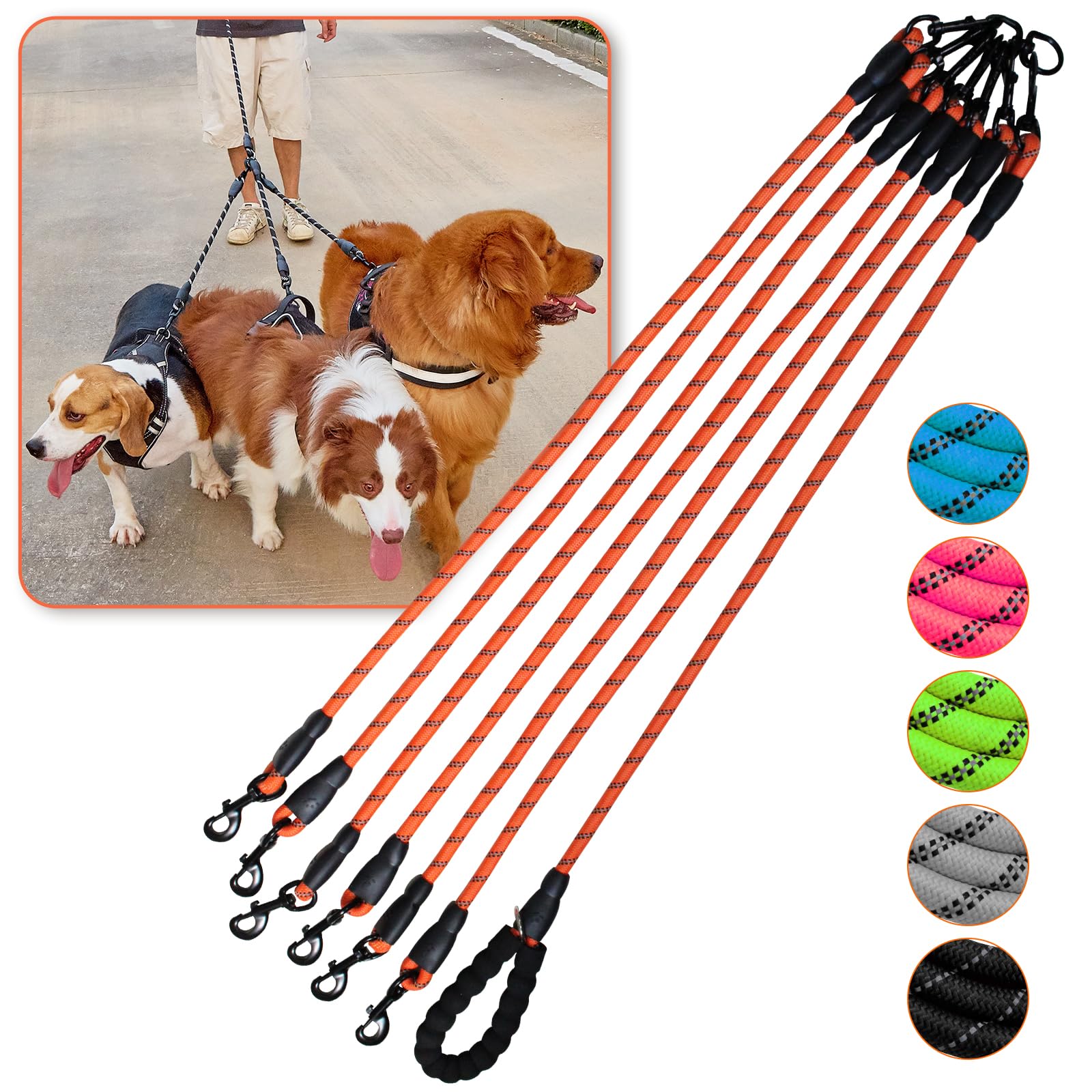Laisse Luck Dawn 6 chiens – rotation 360 pour une promenade sans enchevêtrement.