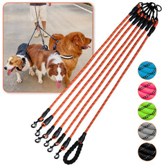 Laisse Luck Dawn 6 chiens – rotation 360 pour une promenade sans enchevêtrement.