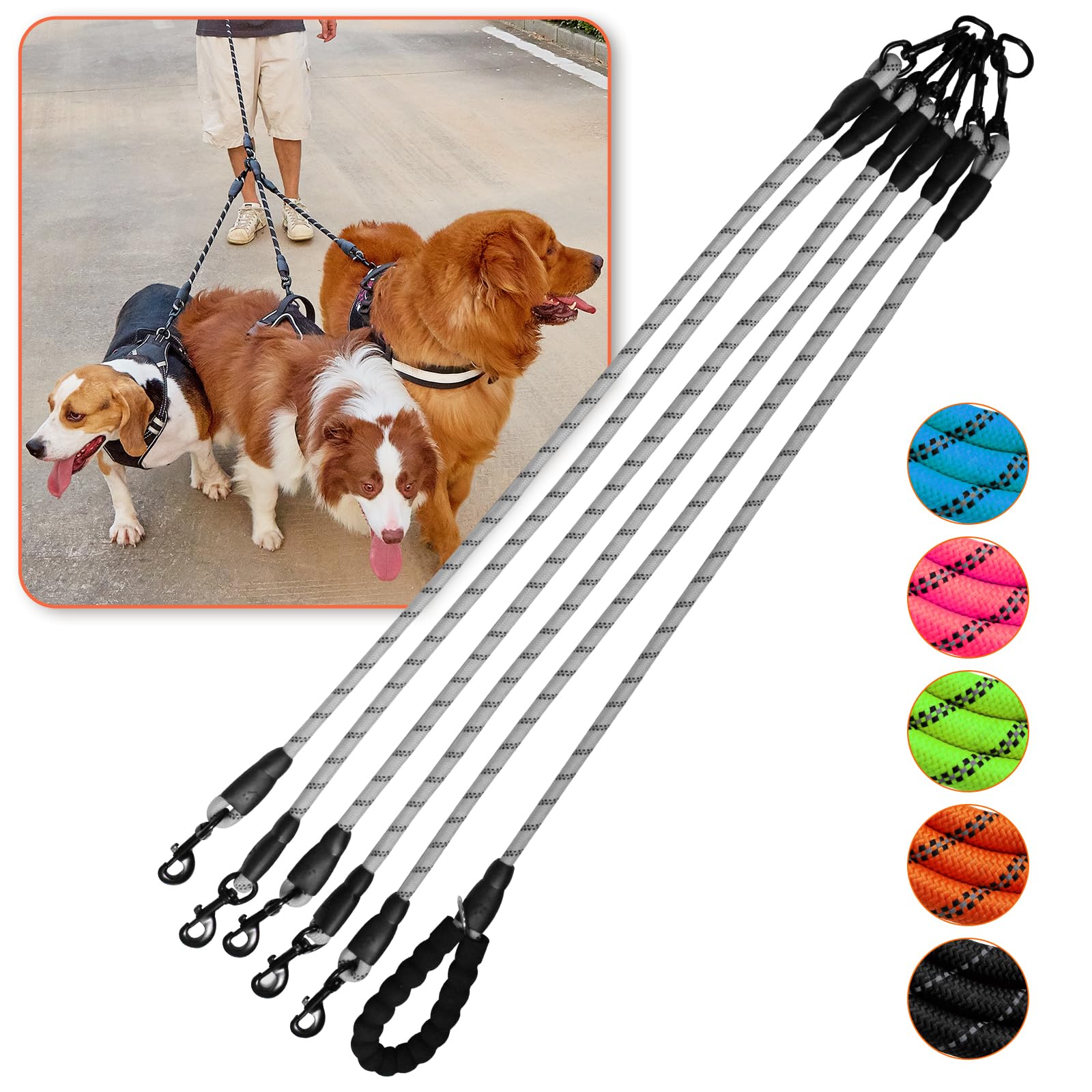 Laisse Luck Dawn cinq chiens anti-enchevetrement avec pivot 360 pour promenades fluides.
