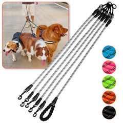 Laisse Luck Dawn cinq chiens anti-enchevetrement avec pivot 360 pour promenades fluides.
