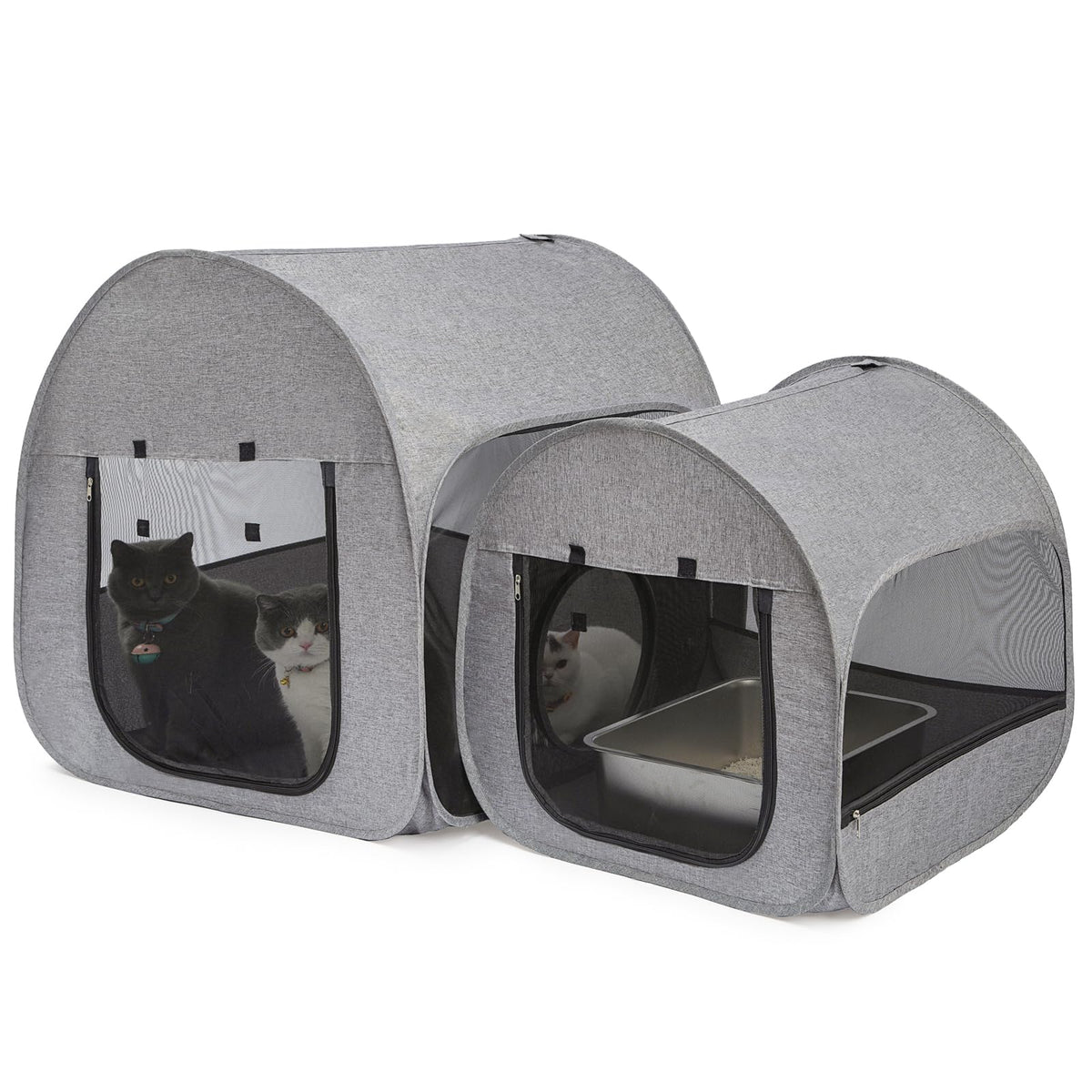 LUCKITTY Playpen pour chats: grand espace pour plusieurs félins, gris foncé à domicile