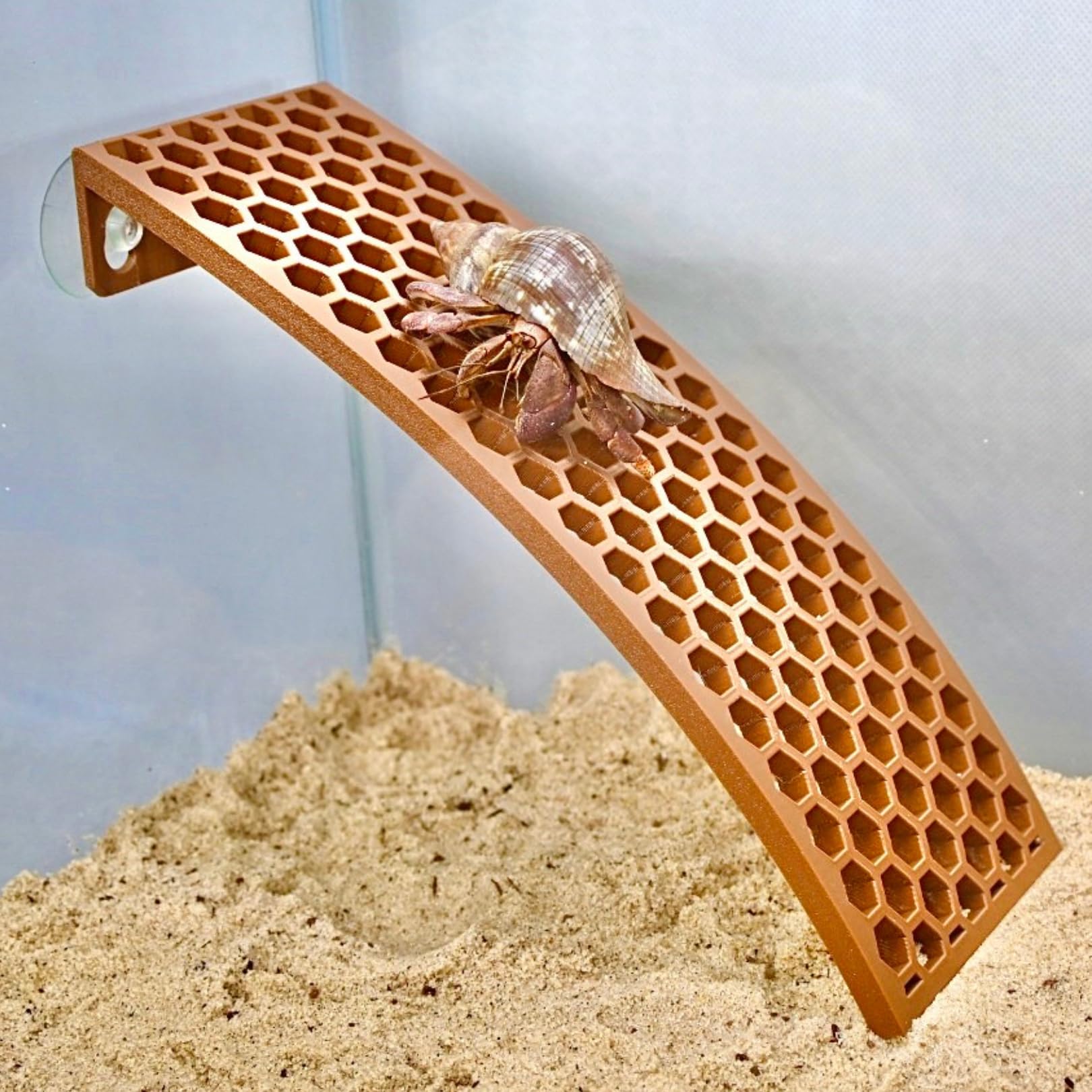 Lucky Critter echelle-escalade-crabe: favorise l'exploration verticale dans le terrarium.