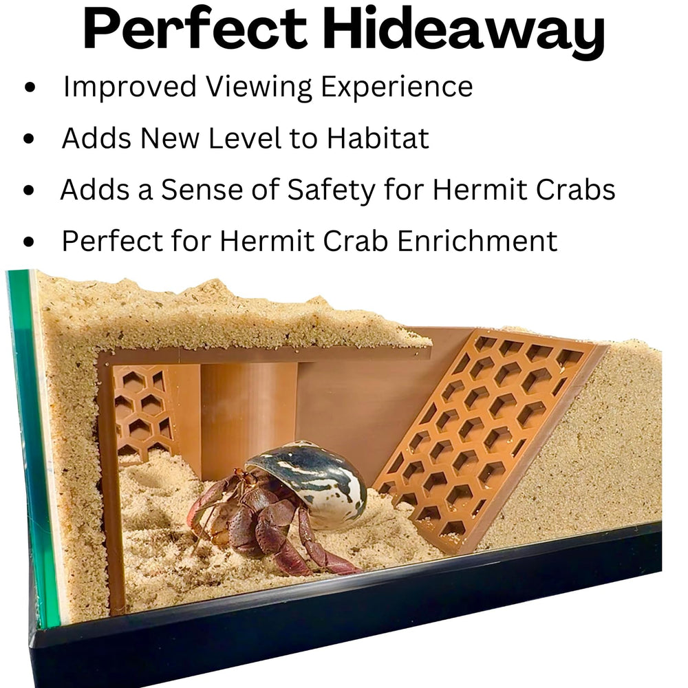 Lucky Critter Plastique sans danger: matériau sûr pour le terrarium.