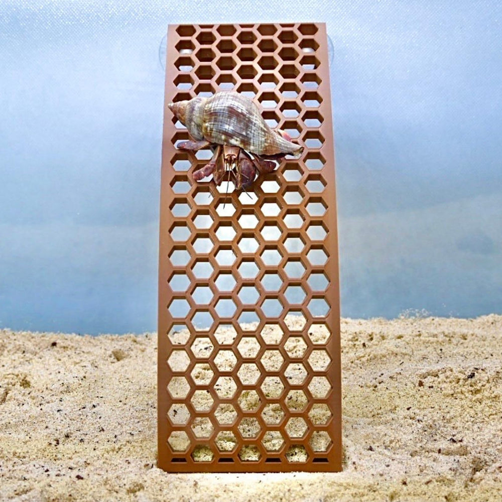 Lucky Critter plateforme-habitat-crabe cree des zones elevées pour observation et repos.