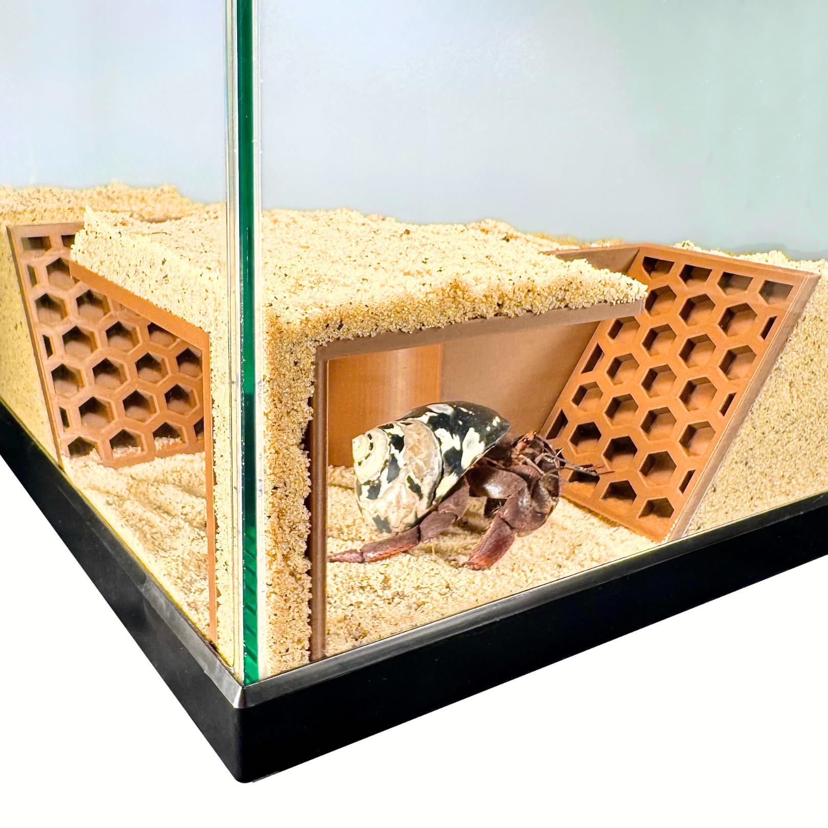 Lucky Critter Tunnel souterrain: favorise l'exploration en sécurité dans le terrarium.