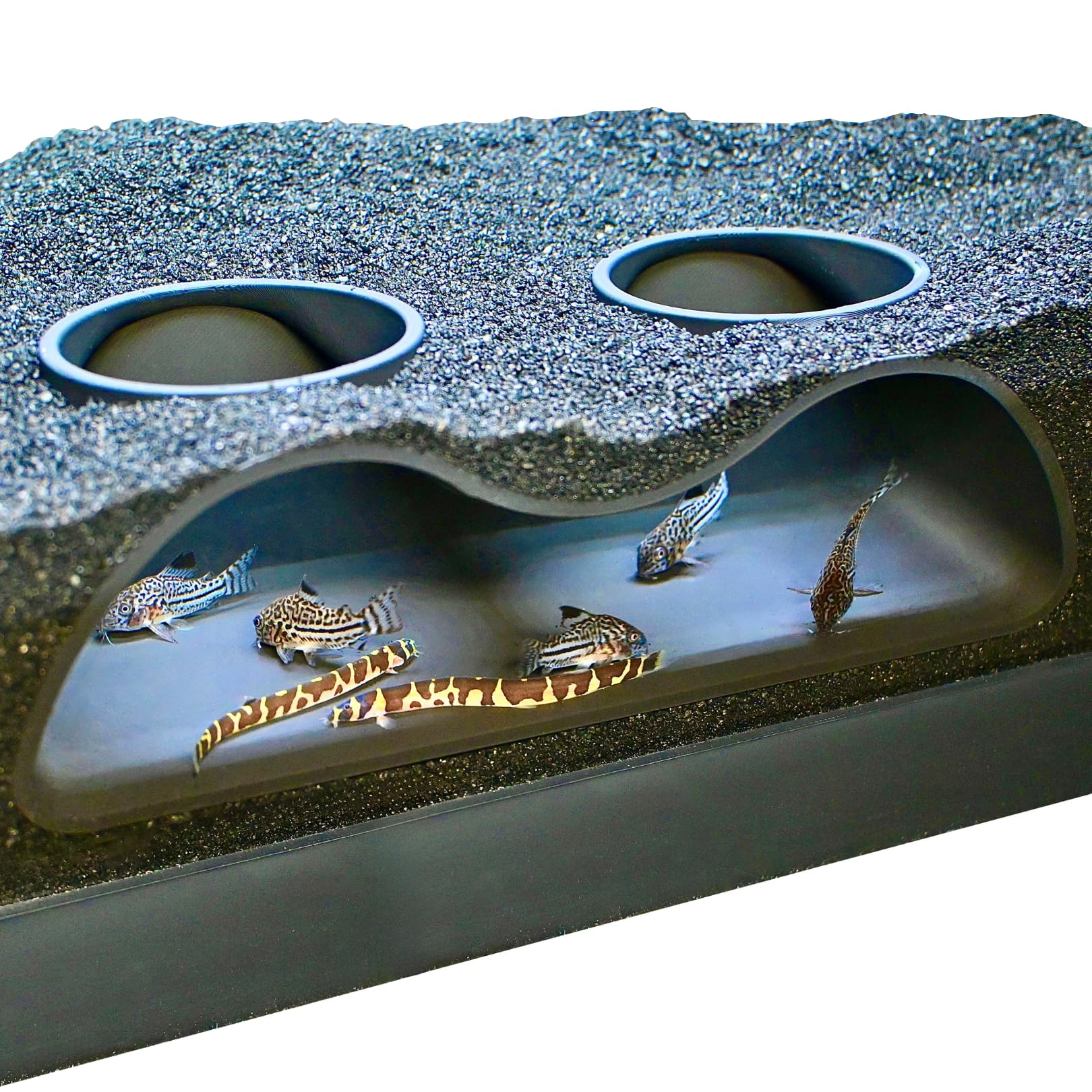 Lucky Critter tunnel souterrain a deux ouvertures, vue nette des poissons.