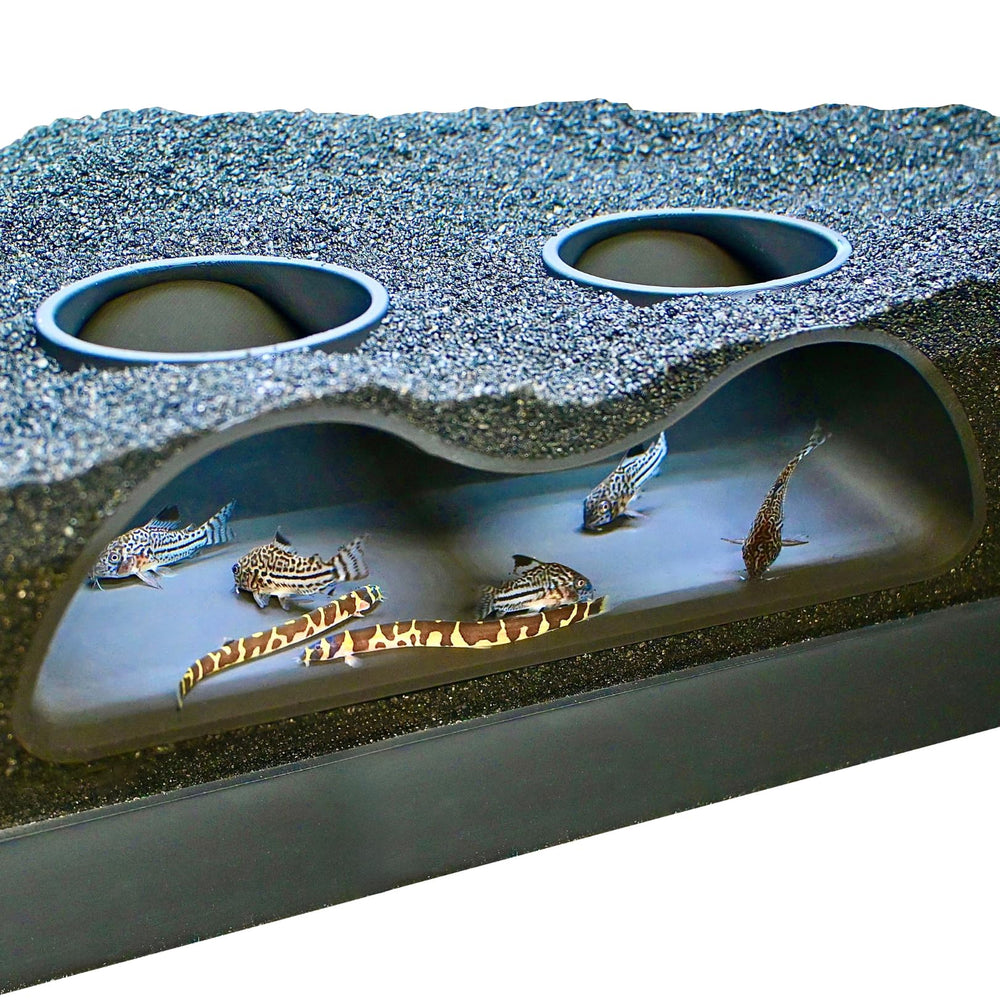 Lucky Critter tunnel souterrain a deux ouvertures, vue nette des poissons.