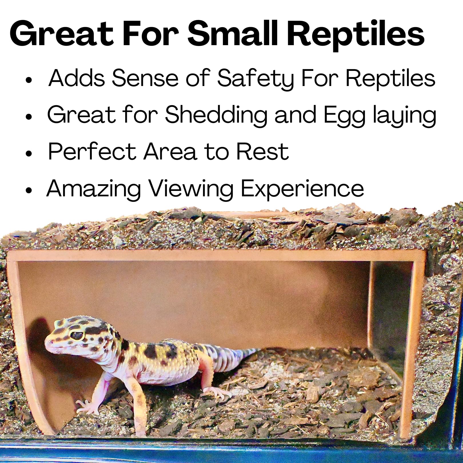 Lucky Critter grotte souterraine emplacement en coin pour optimiser l’espace