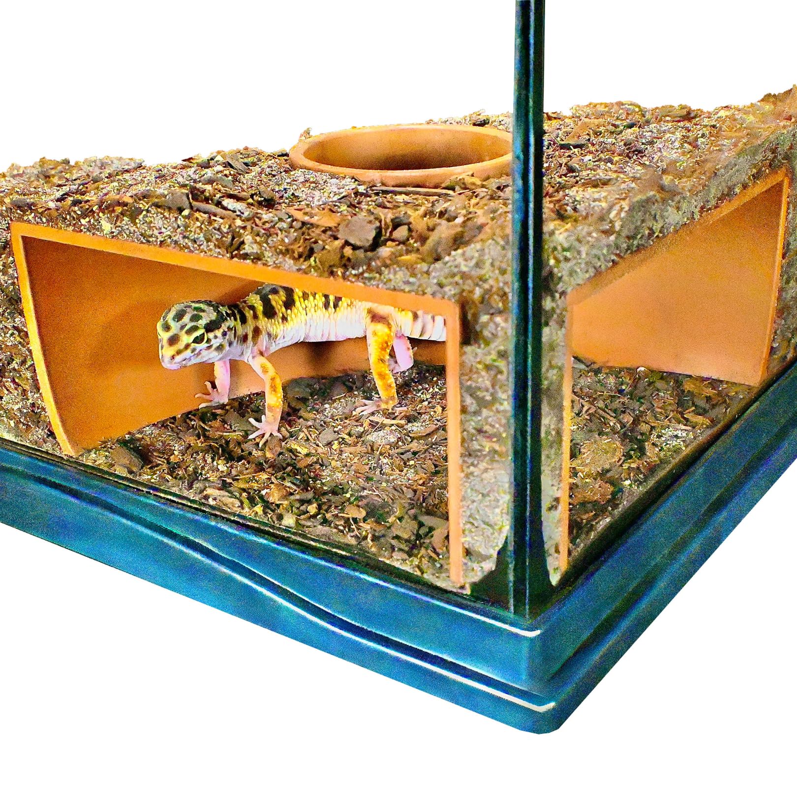 Lucky Critter grotte souterraine vue d’ensemble pour observation dans le terrarium