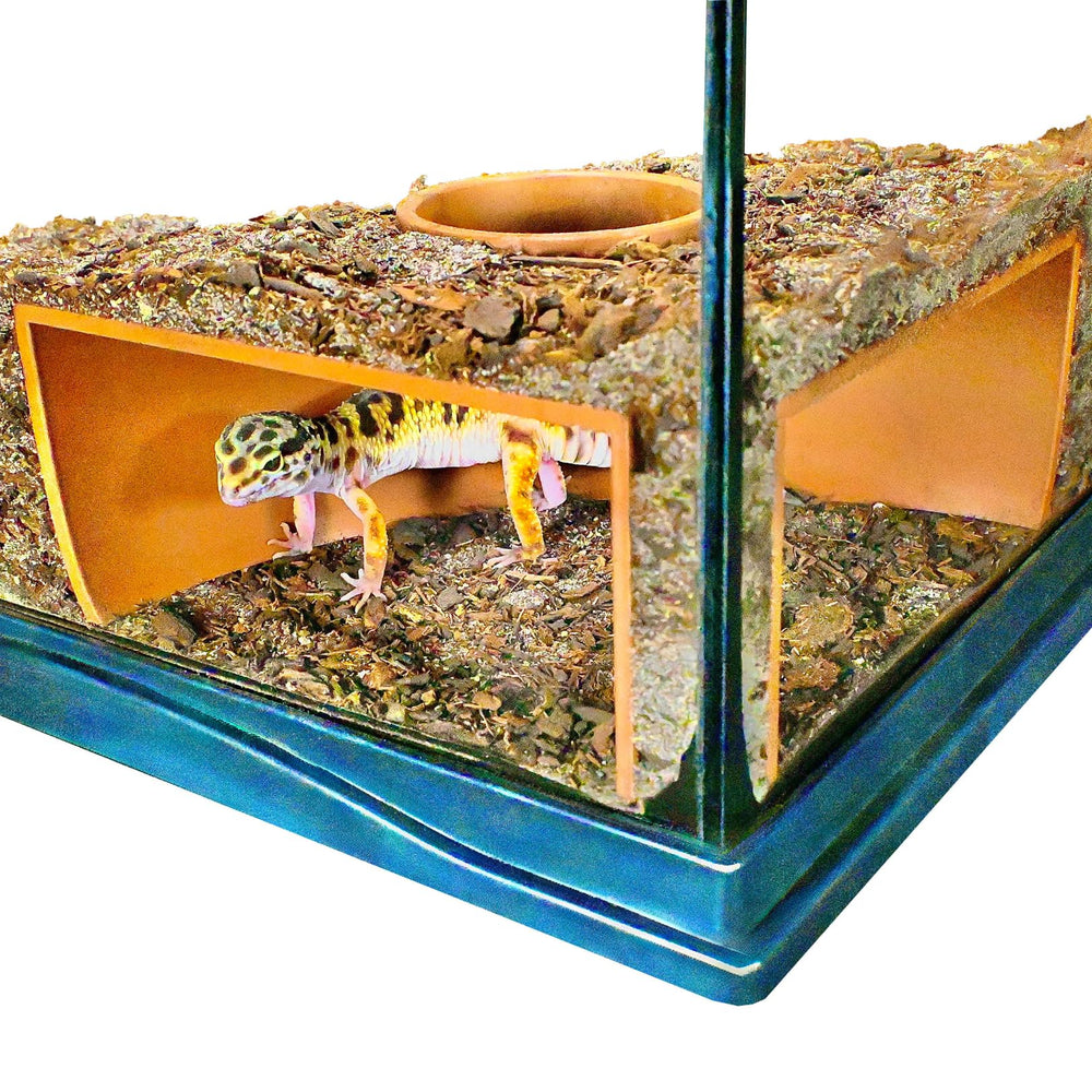 Lucky Critter grotte souterraine vue d’ensemble pour observation dans le terrarium