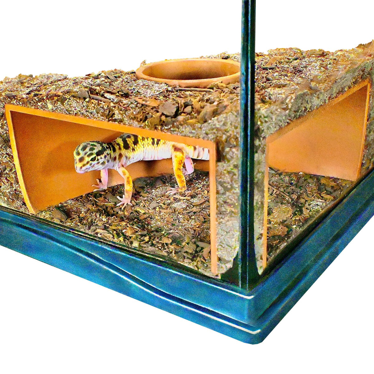 Lucky Critter grotte souterraine vue d’ensemble pour observation dans le terrarium