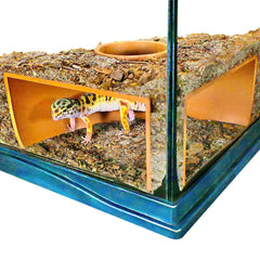 Lucky Critter grotte souterraine vue d’ensemble pour observation dans le terrarium