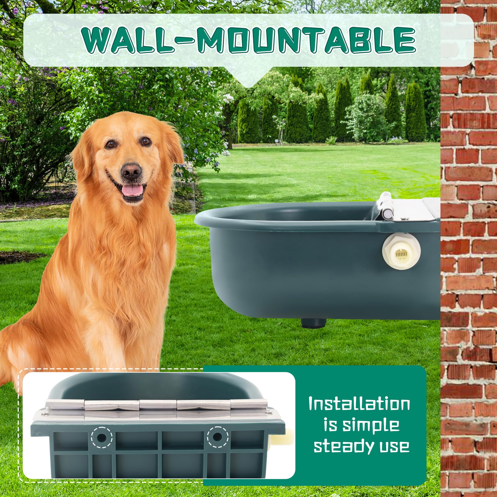 Entrée d'eau de 1/2 pouce compatible avec l'installation Lucky Farm.