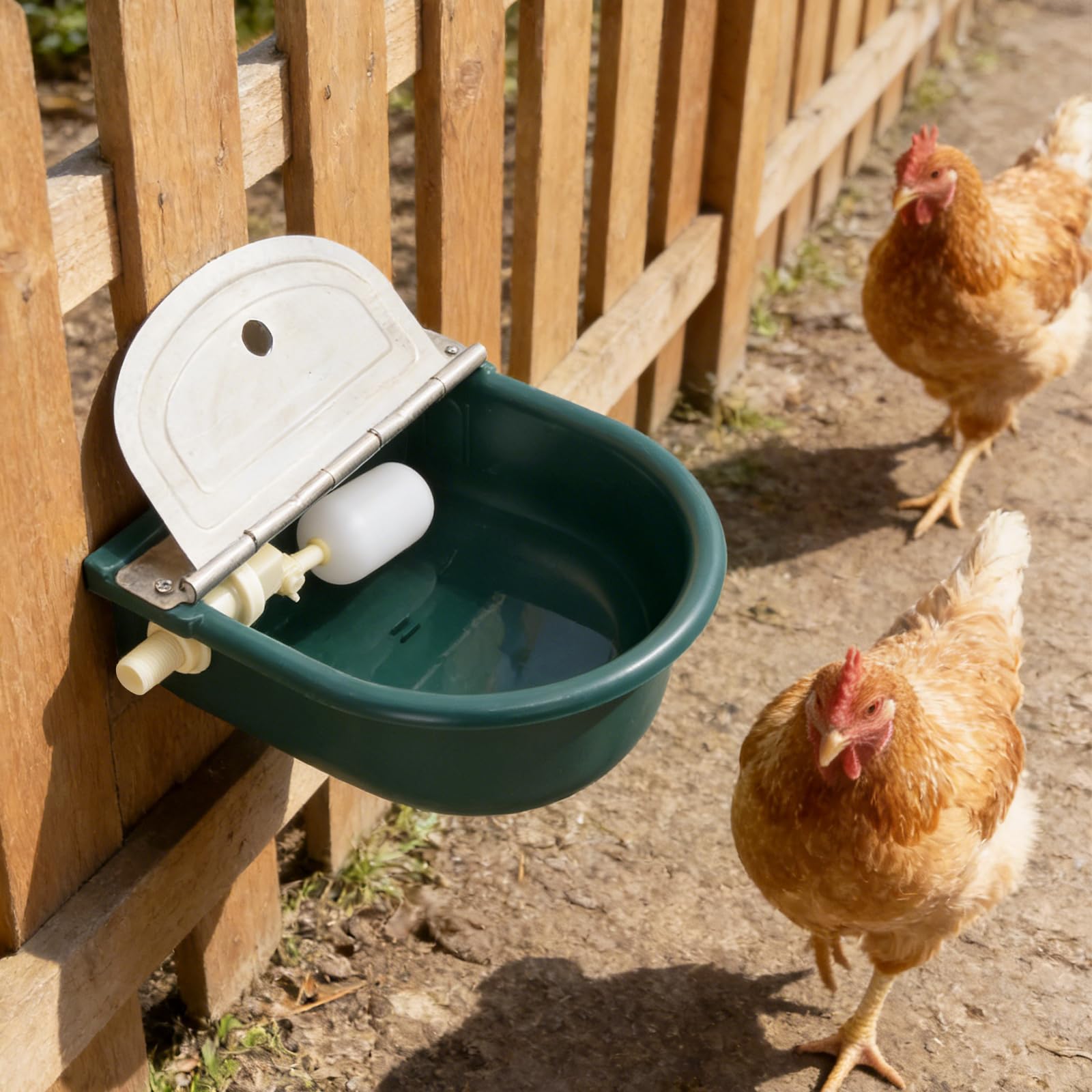 Utilisation pratique d'un abreuvoir Lucky Farm pour eau continue.