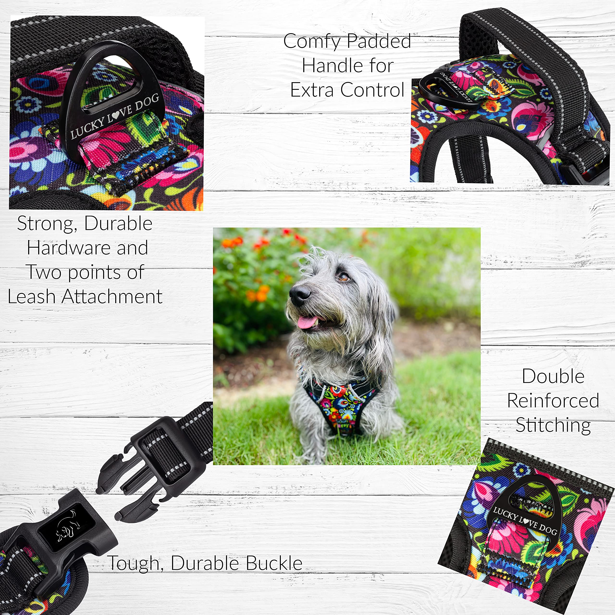 Motif Blackbird Lucky Love Dog, design mignon et distinctif.