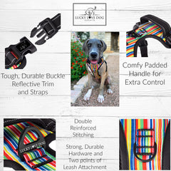 Harnais Lucky Love Dog banderoles réfléchissantes pour visibilité nocturne.