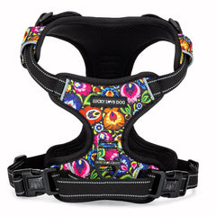 Harnais sans traction Lucky Love Dog pour des promenades sans tension.