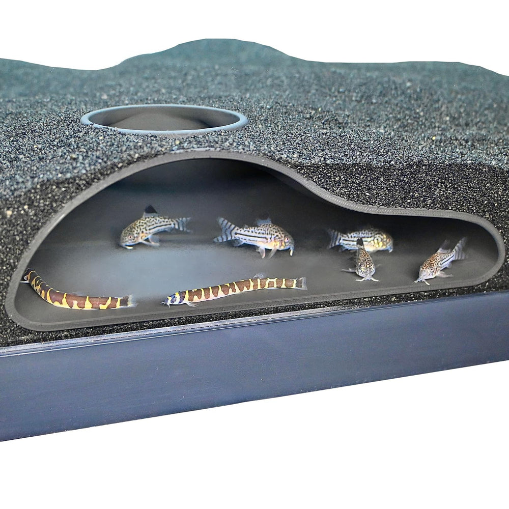 Lucky Critter tunnel: grotte souterraine naturelle, refuge discret pour poissons et crevettes.
