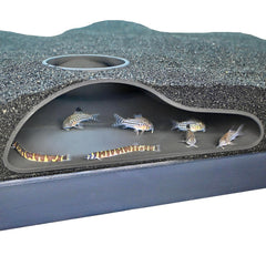 Lucky Critter tunnel: grotte souterraine naturelle, refuge discret pour poissons et crevettes.