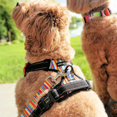 Lucky Love Dog Easy Walker : enfilage rapide et sécurité accrue lors des sorties.