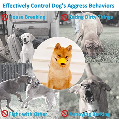 LUCKYPAW manuel-utilisation-inclus – guide clair pour une mise en place correcte.