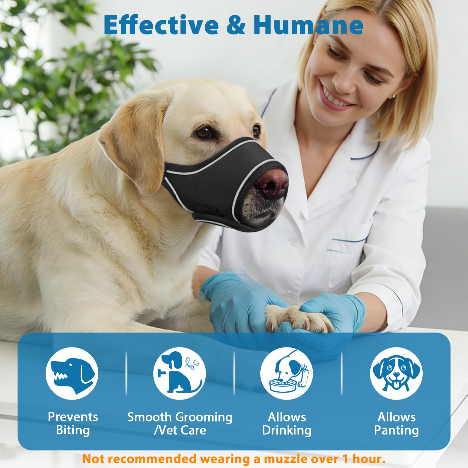 LUCKYPAW museau chien fermeture velcro noir, mise en place rapide.