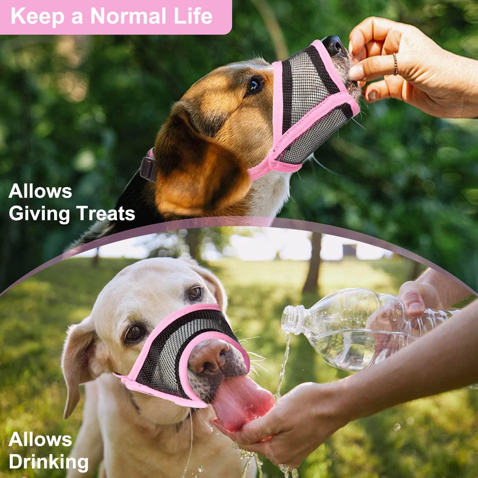LUCKYPAW museau petit chien rose usage en extérieurs et activités quotidiennes.