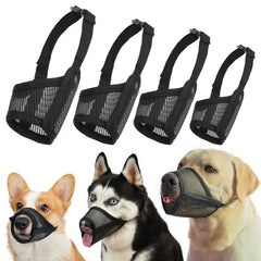 LUCKYPAW ensemble de 4 muselières pour tailles variées, gain de temps assuré.