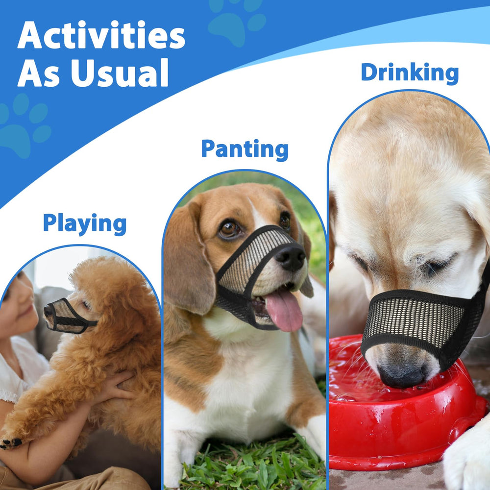 LUCKYPAW solution pratique pour propriétaires de plusieurs chiens.
