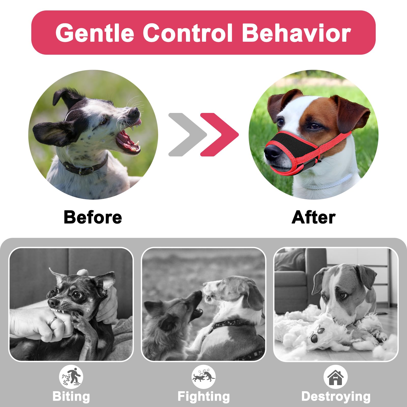 LUCKYPAW Muselière chien, outil d'entraînement, aide à limiter les morsures et l'anxiété.
