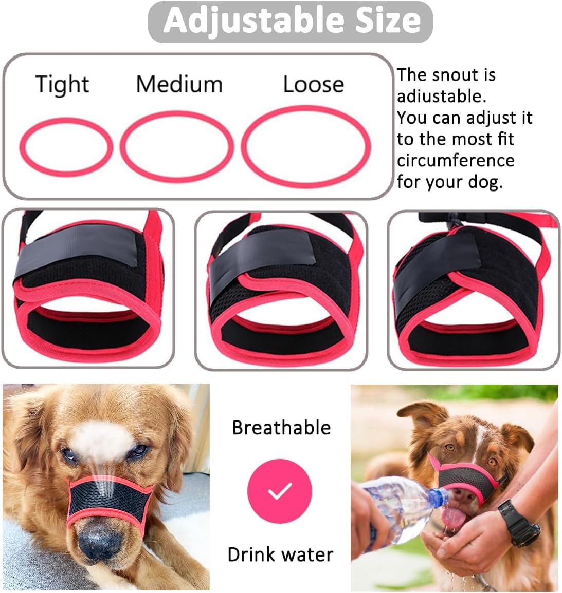 LUCKYPAW Muselière chien, usage vétérinaire et grooming sans contrainte.