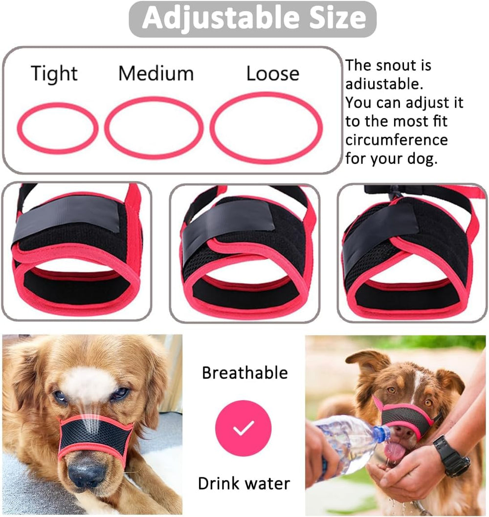 LUCKYPAW Muselière chien, usage vétérinaire et grooming sans contrainte.