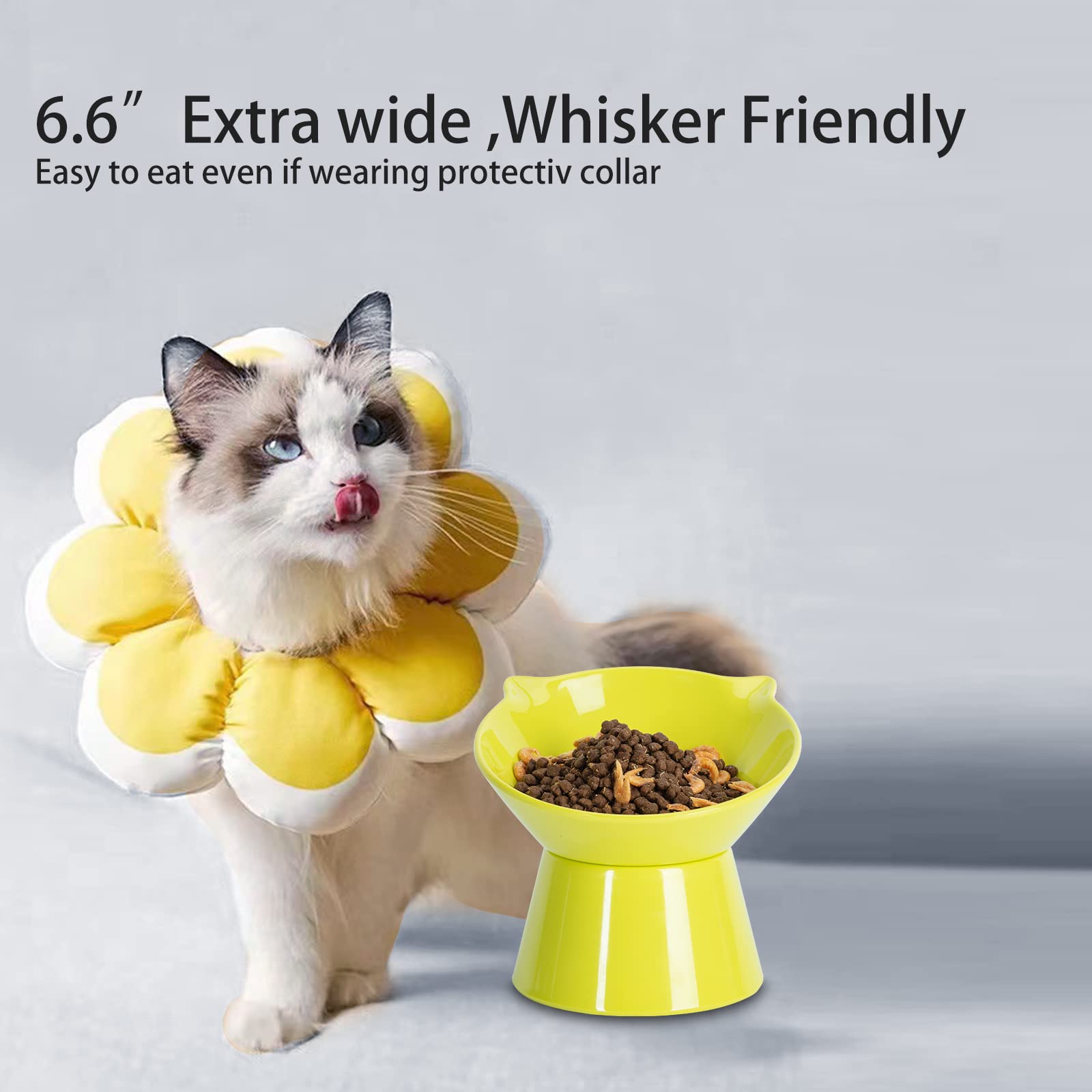 LuckyPots bol chat diametre 6-6 offre une grande capacité de nourriture pour chats