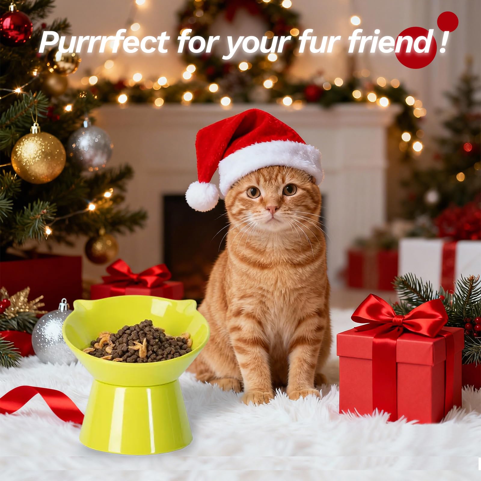 LuckyPots bol chat interieur ideal pour chats adultes et chatons