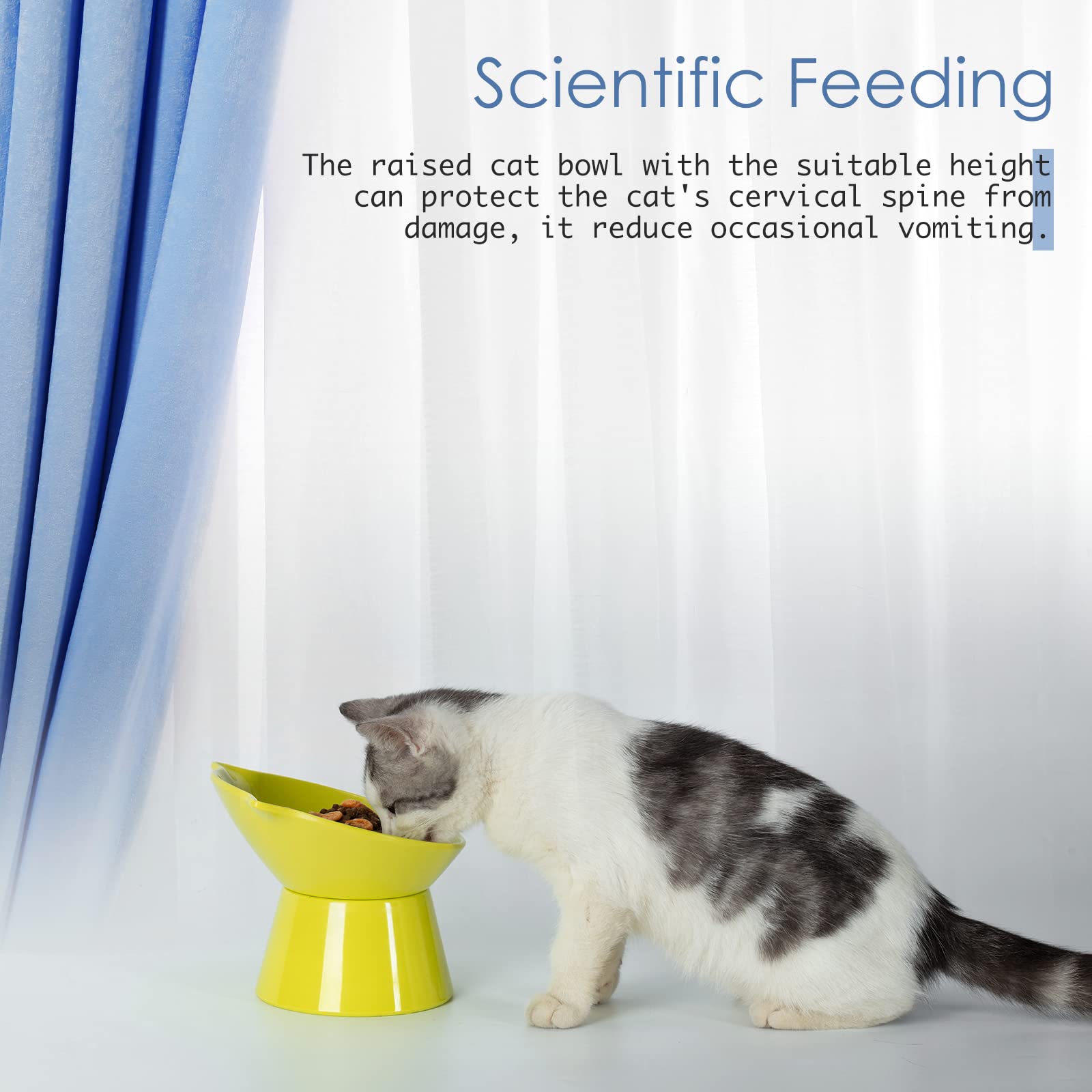 LuckyPots bol chat posture ergonomique soutient la colonne et rend les repas plus confortables