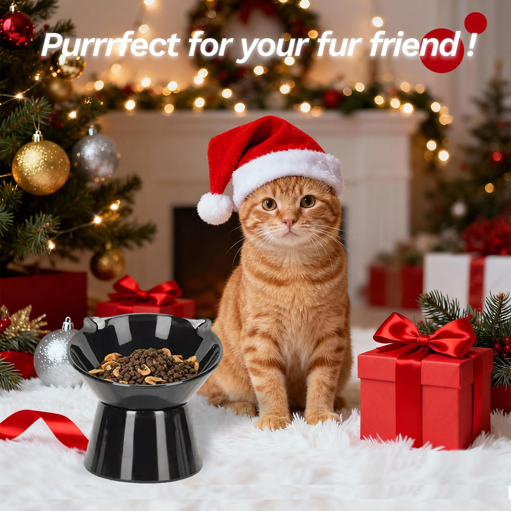 Bol LuckyPots usage quotidien adapté pour chats adultes et chatons.