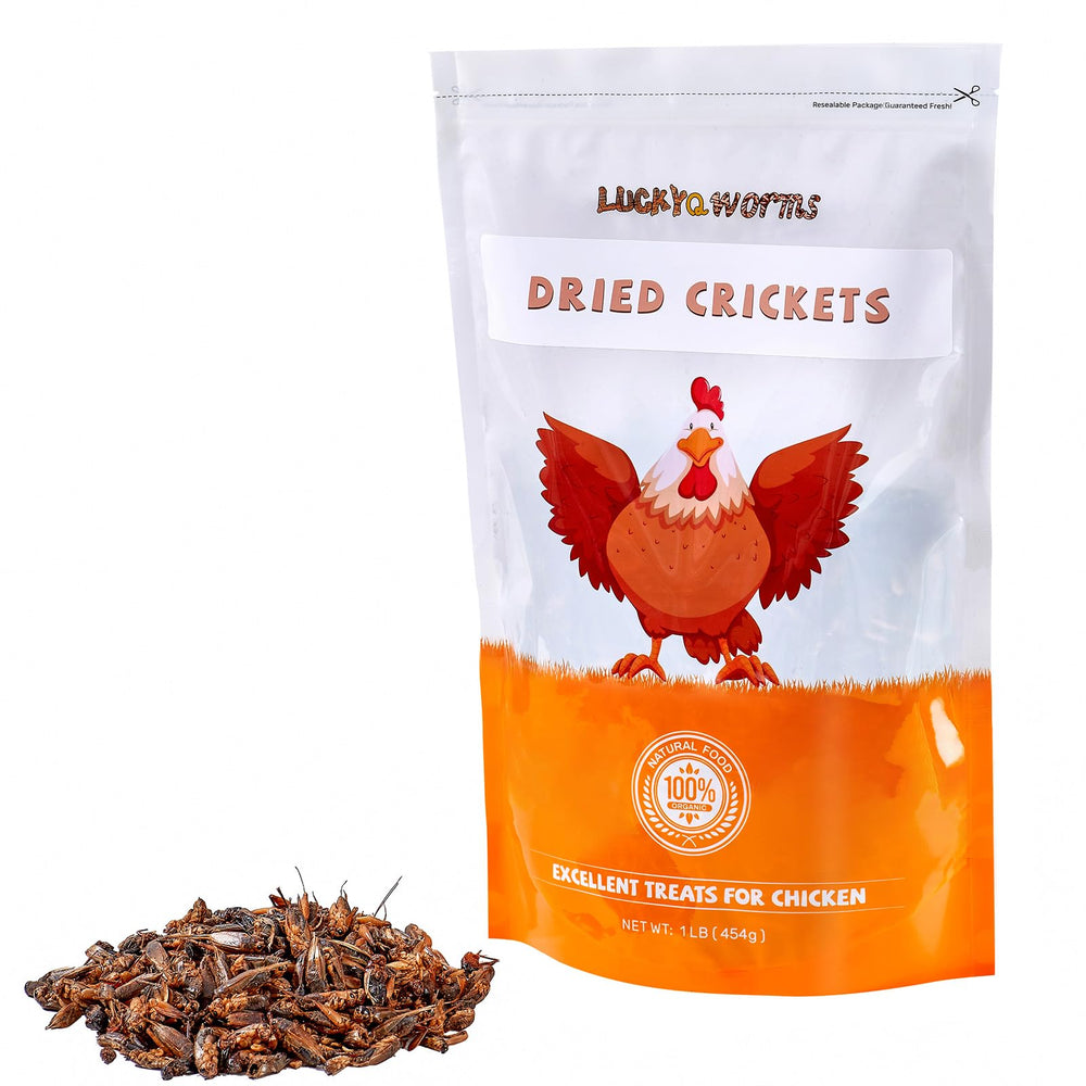 Grillons séchés LuckyQworms, facile à mélanger avec les repas.