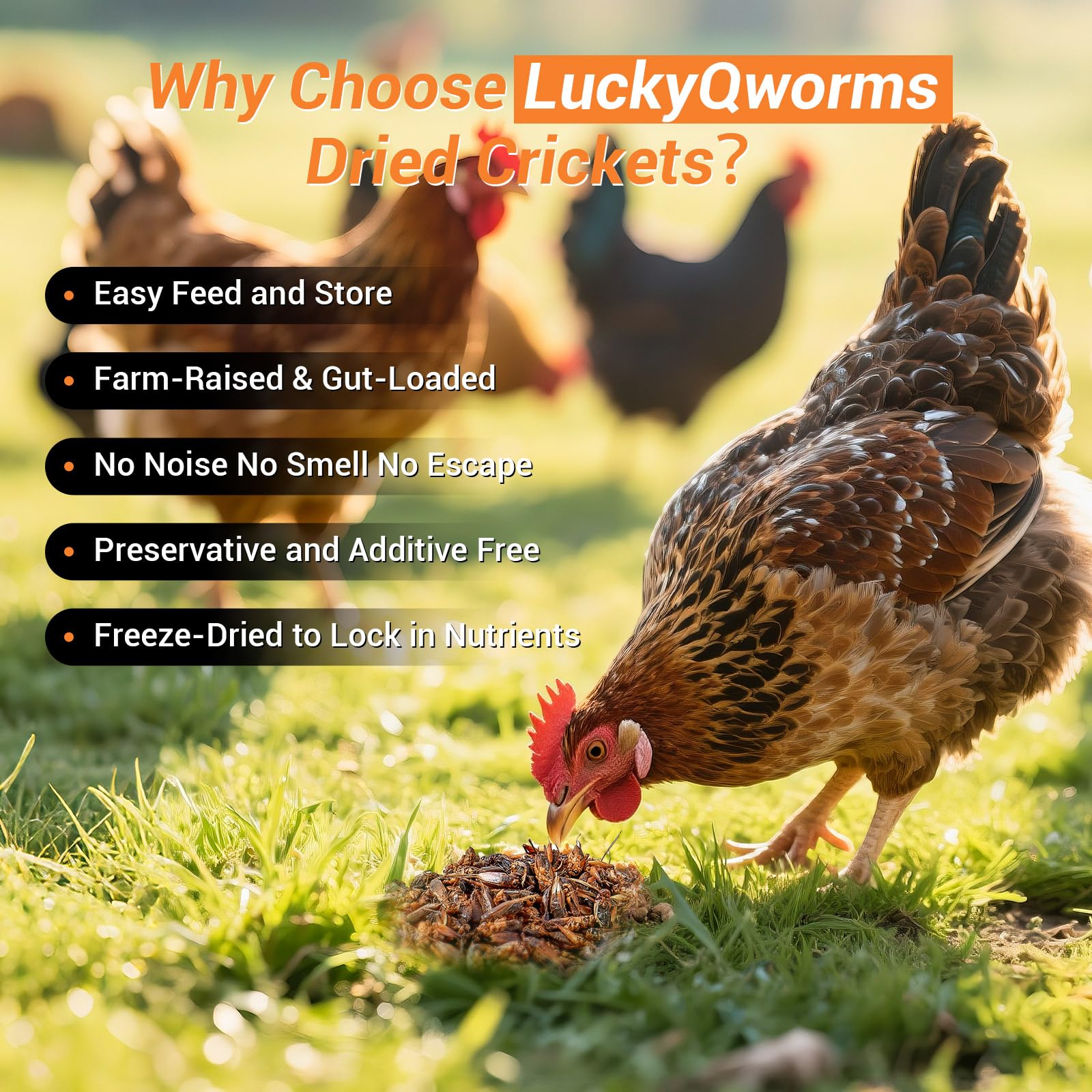 Grillons LuckyQworms, calcium élevé, aide potentielle au développement des os.