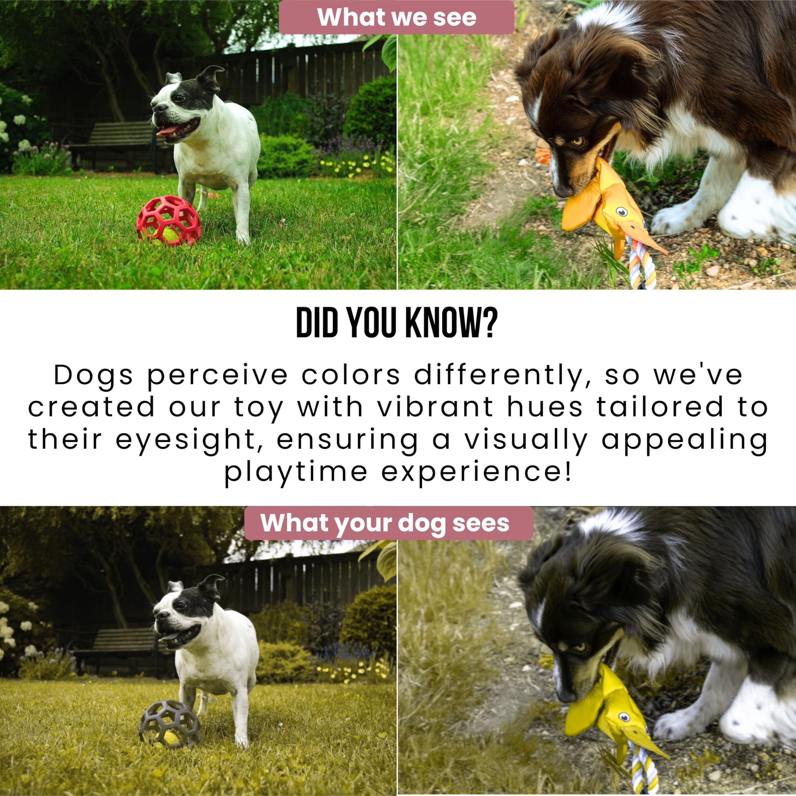 LUCOLOVE parfait pour le jardin et les entraînements en plein air.
