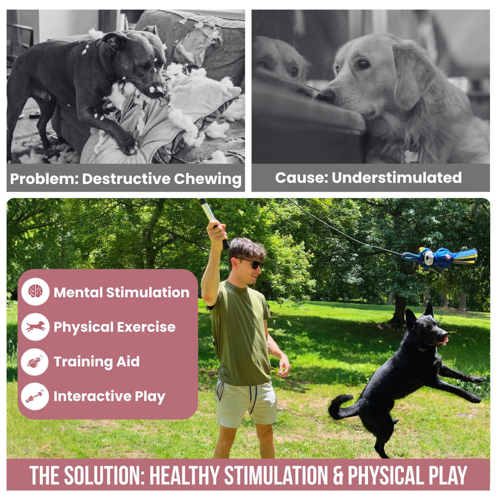 LUCOLOVE leurre raton-laveur multisensoriel pour stimulation et exercice.