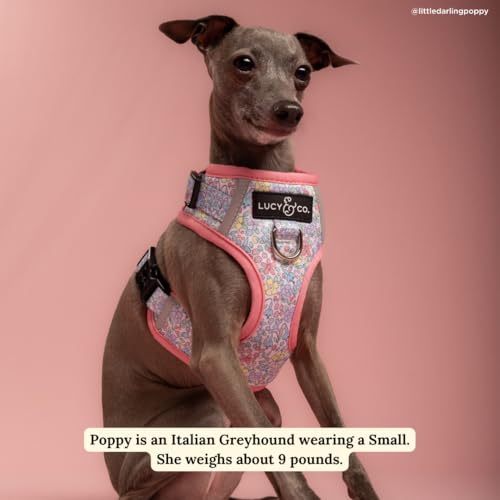 Lucy & Co. Ditsy Daydream, rembourrage confort pour un port agréable et sûr.