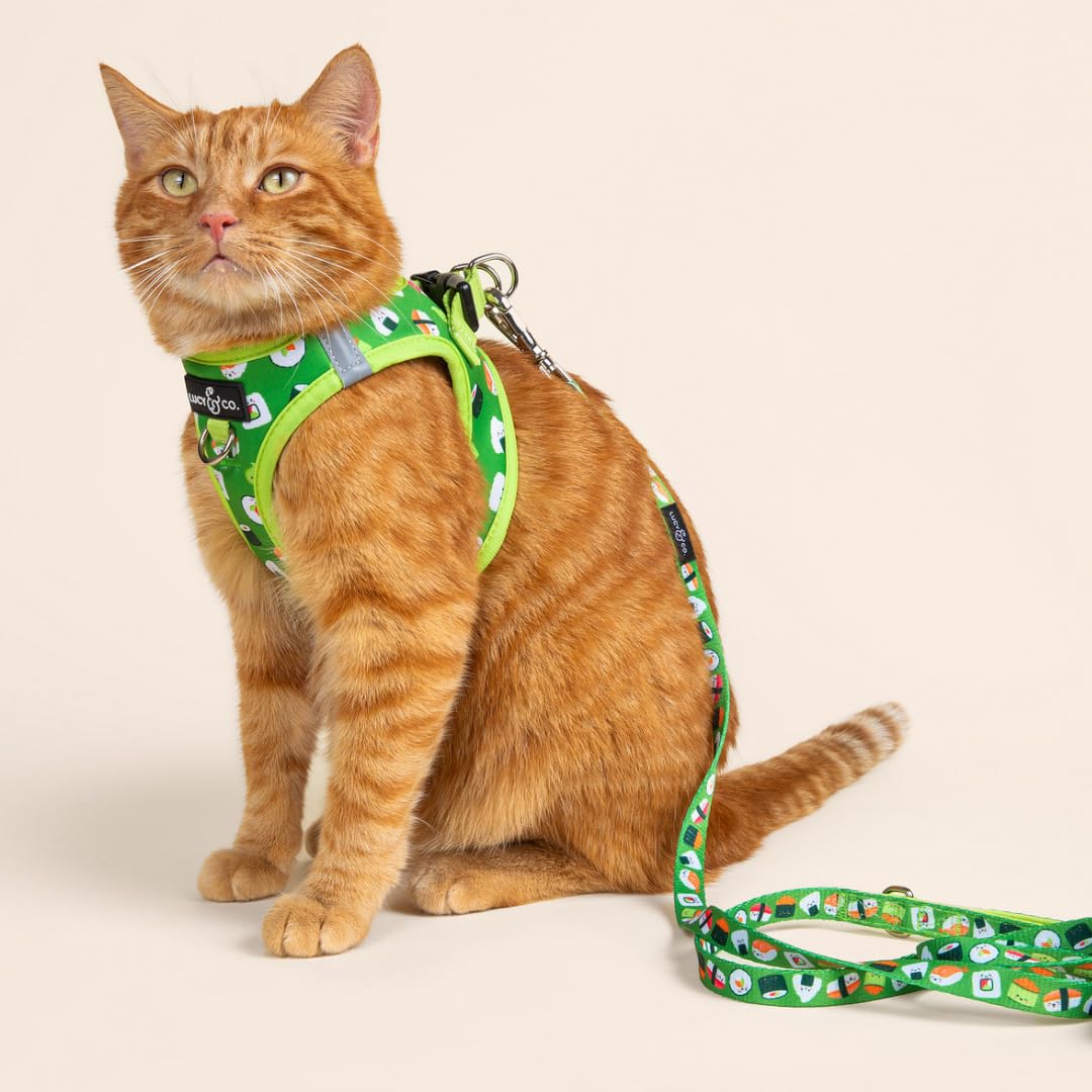 Lucy & Co. design moderne et sûr pour chats et petits chiens.